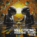 Melotronic House And Techno, Vol 10
