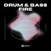 Drum & Bass Fire, Vol 08
