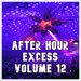 After Hour Excess, Vol 12 (Best Selection Of Clubbing After Hour Tracks)
