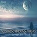 No Stress Walking S Vol 2 - Lounge Spirit Moody Tunes