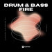 Drum & Bass Fire, Vol 09