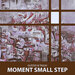 Moment Small Step