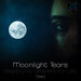 Moonlight Tears Step 1 (Electronic Ambient For Life)