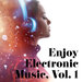 Enjoy Electronic Music, Vol 1