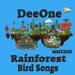 Rainforest Bird Songs Mmxxiiii