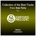 Collection Of The Best Tracks From: Ivan Terry, Part 1