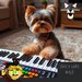 Dog Bit Melodies Album Series Six