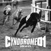 CYNODROME, Vol 01