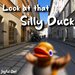 Look At That Silly Duck
