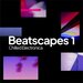 Beatscapes, Vol 1: Chilled Electronica