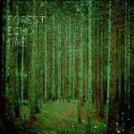 Forest Echo One
