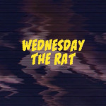 Wednesday The Rat