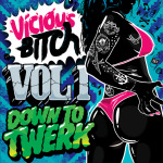 Vicious Bitch Records