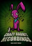 DJ PURPLE RABBIT