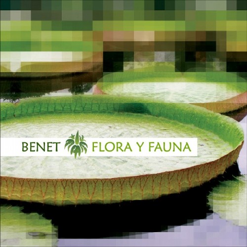 BENET - Flora Y Fauna