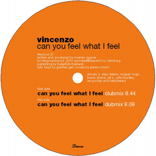 VINCENZO - Can You Feel What I Feel?