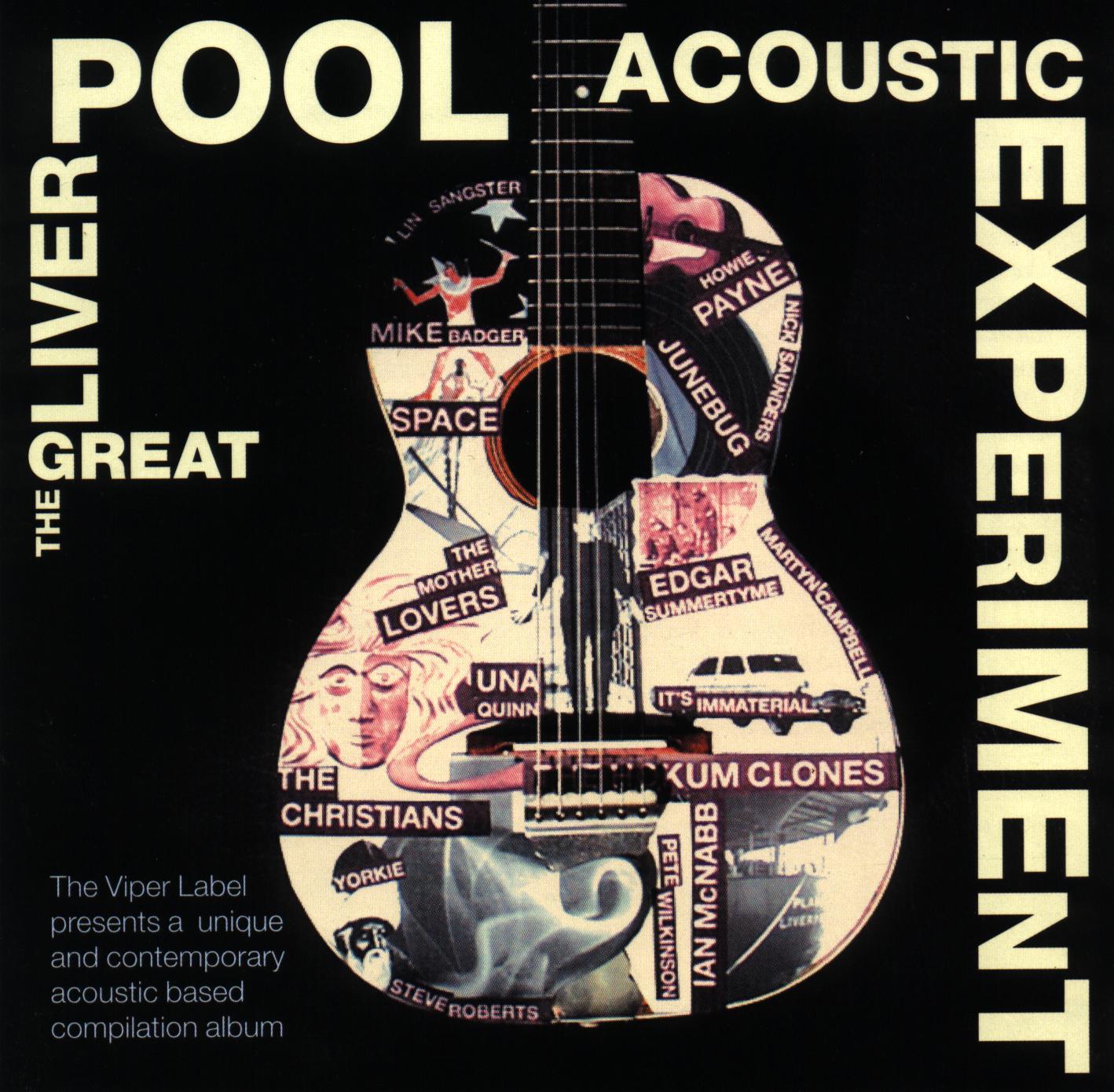 VARIOUS - The Great Liverpool Acoustic Experiment