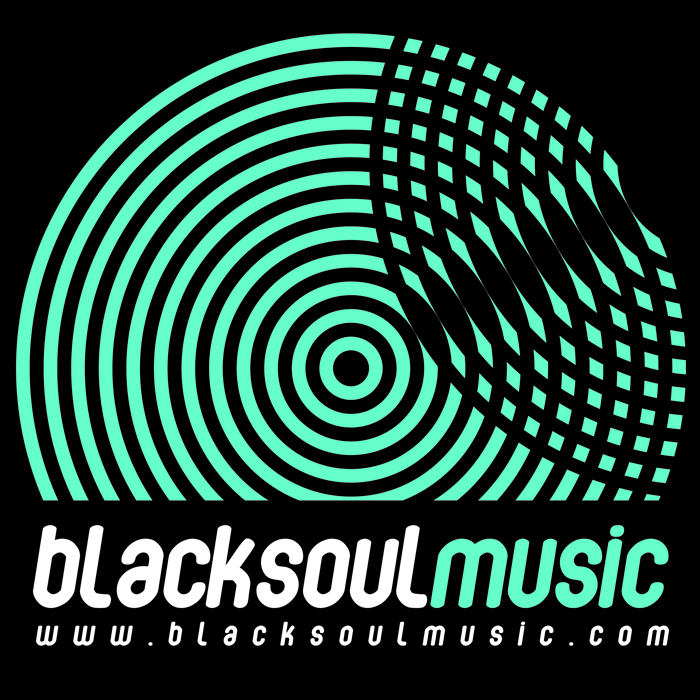 BLACKSOUL feat RITHMA - Not Another Love Song