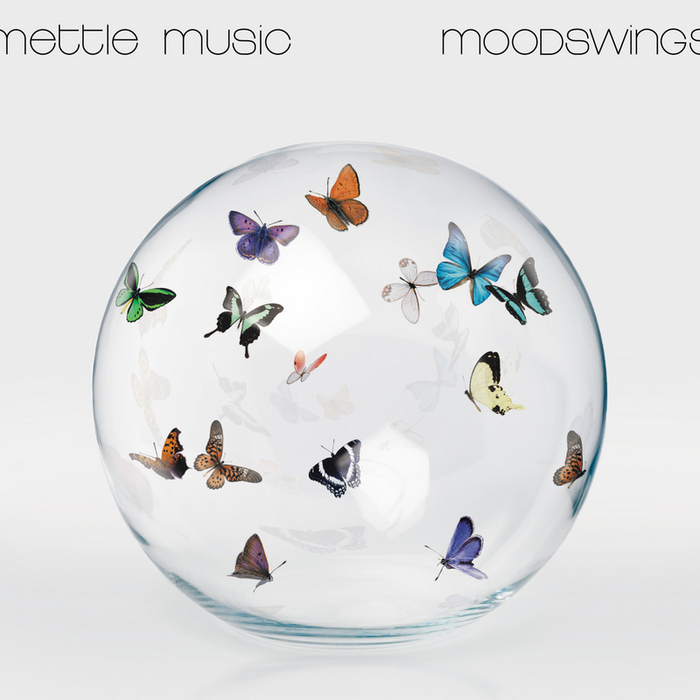 METTLE MUSIC - Moodswings (Exclusive Version)