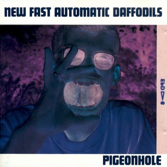 New Fast Automatic Daffodils - Pigeonhole