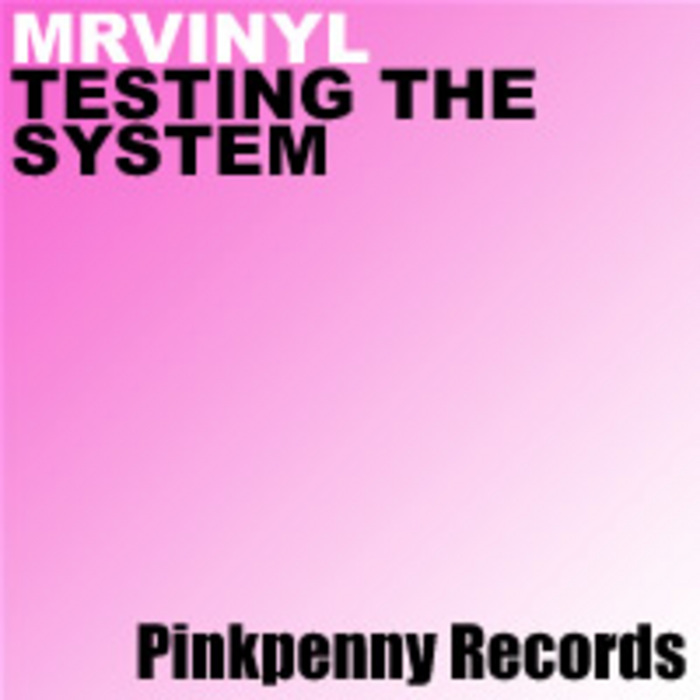 MR VINYL - Testing The System