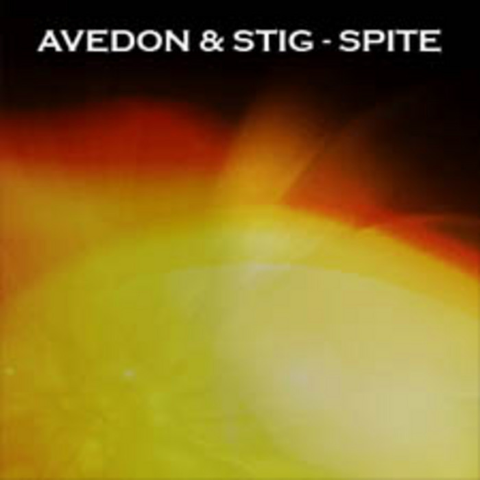 AVEDON/STIG - Spite