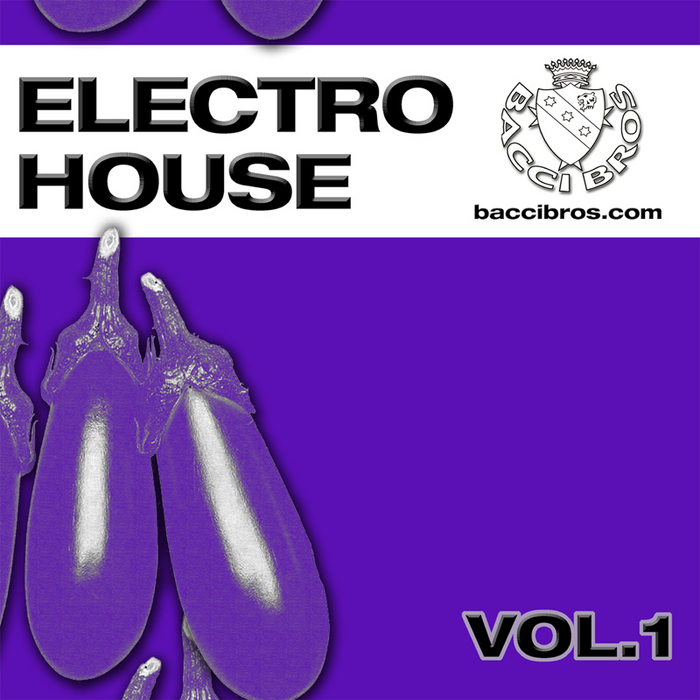 VARIOUS - Electro House Vol 1