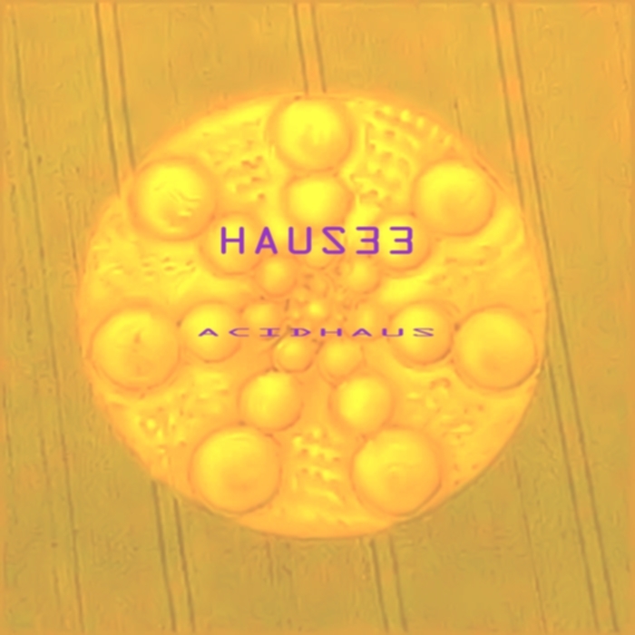 HAUS 33 - Acid Haus