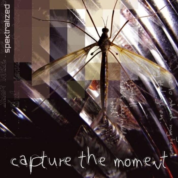 SPEKTRALIZED - Capture The Moment