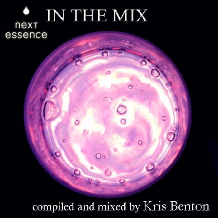VARIOUS - Next Essence In The Mix