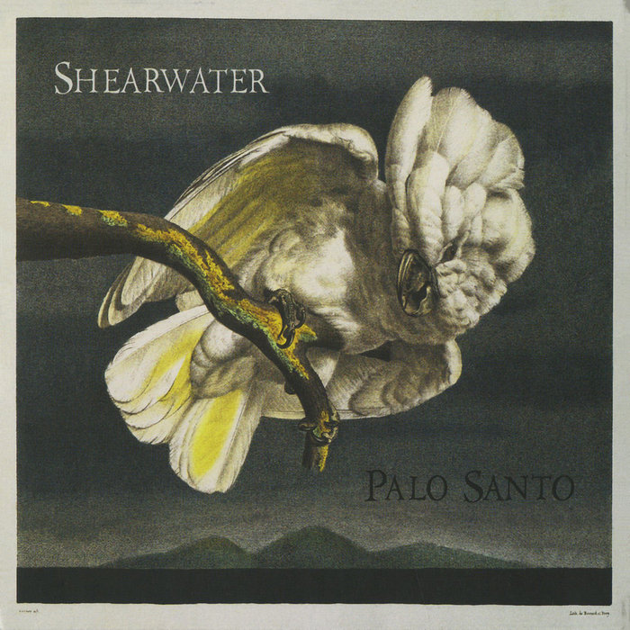 SHEARWATER - Palo Santo