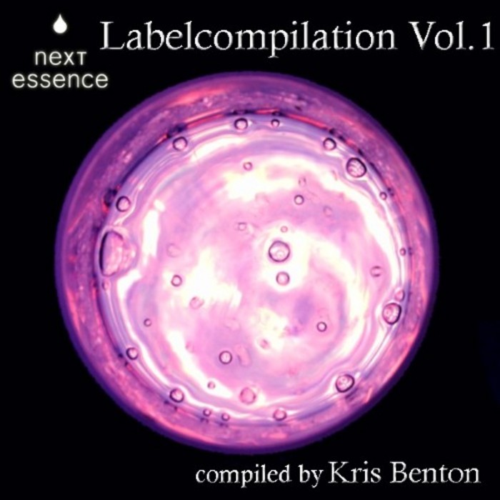 VARIOUS - Next Essence - Labelcompilation Vol 1 (unmixed!)