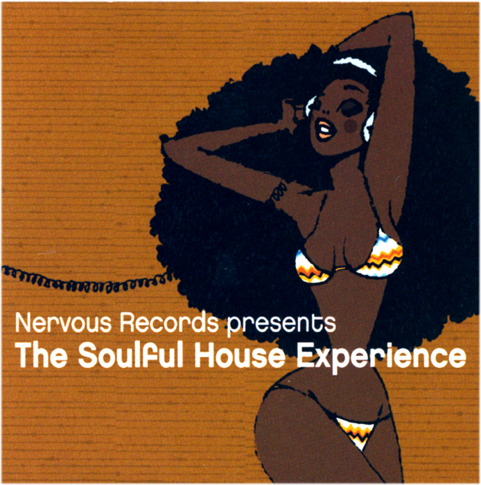 VARIOUS - The Soulful House Experience