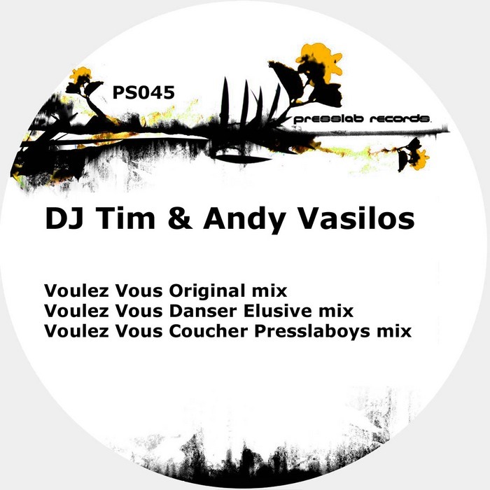 DJ TIM/ANDY VASILOS - Voulez Vous