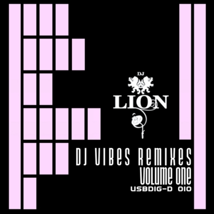 DJ LION - DJ Vibes