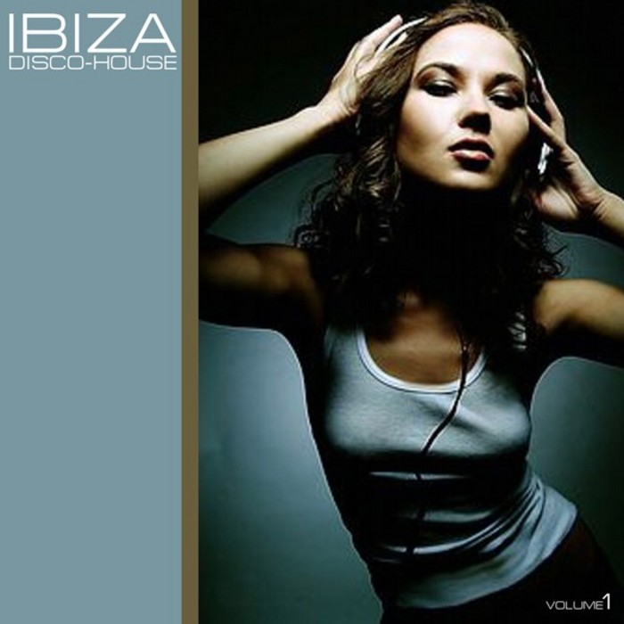 VARIOUS - Ibiza Disco House Vol 01