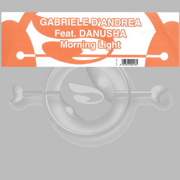 D ANDREA, Gabriele feat DANUSHA - Morning Light