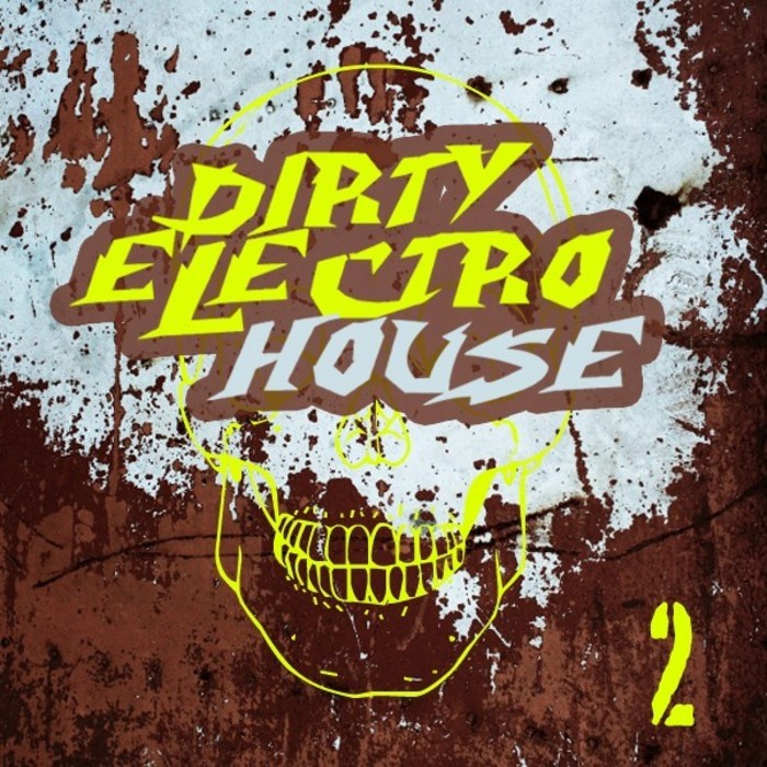 VARIOUS - Dirty Electro House 2