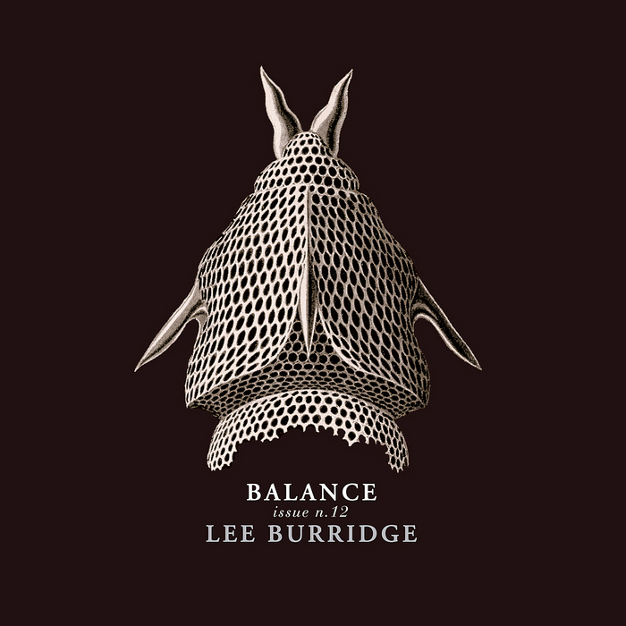 BURRIDGE, Lee/VARIOUS - Balance 012