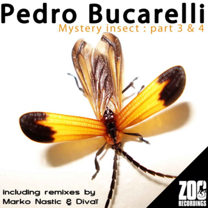 BUCARELLI, Pedro - Mystery Insect (Part 3 & 4)