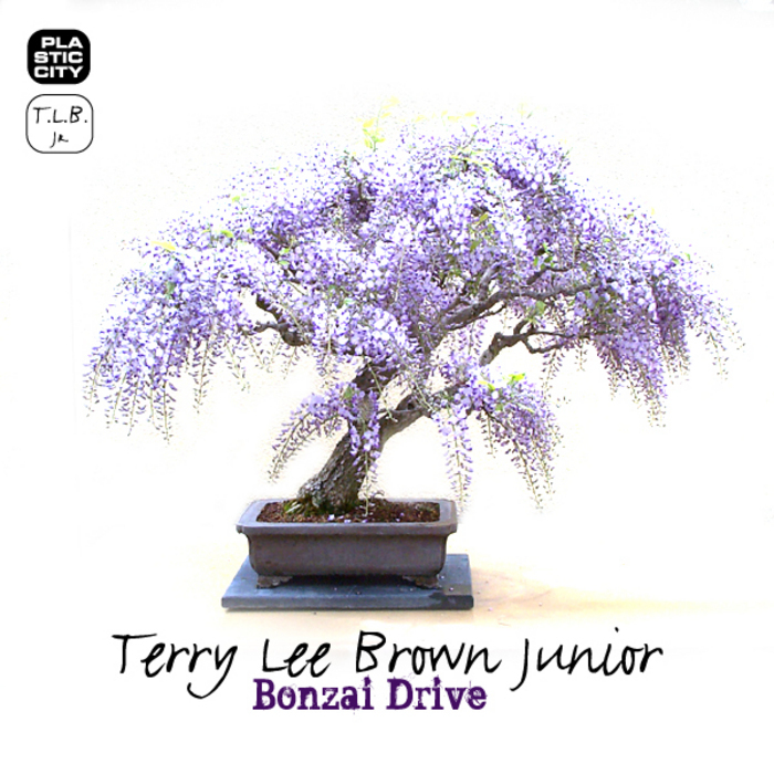 BROWN, Terry Lee Junior - Bonzai Drive