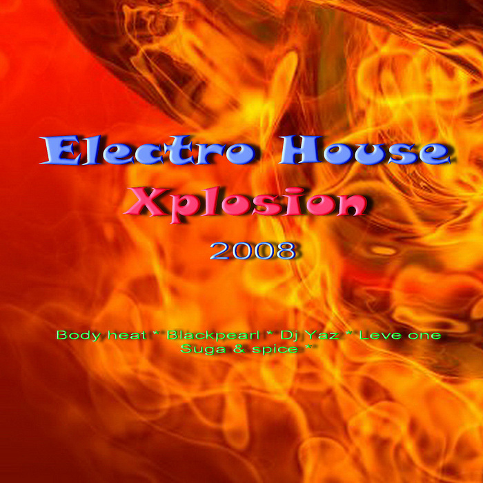 VARIOUS - Electro House Xplosion 2008