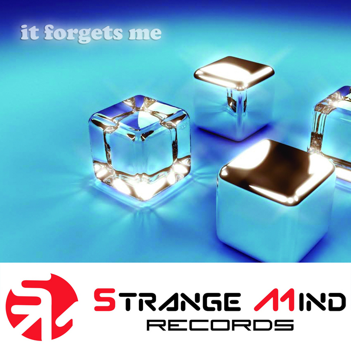 CHANEL RS - It Forgets Me