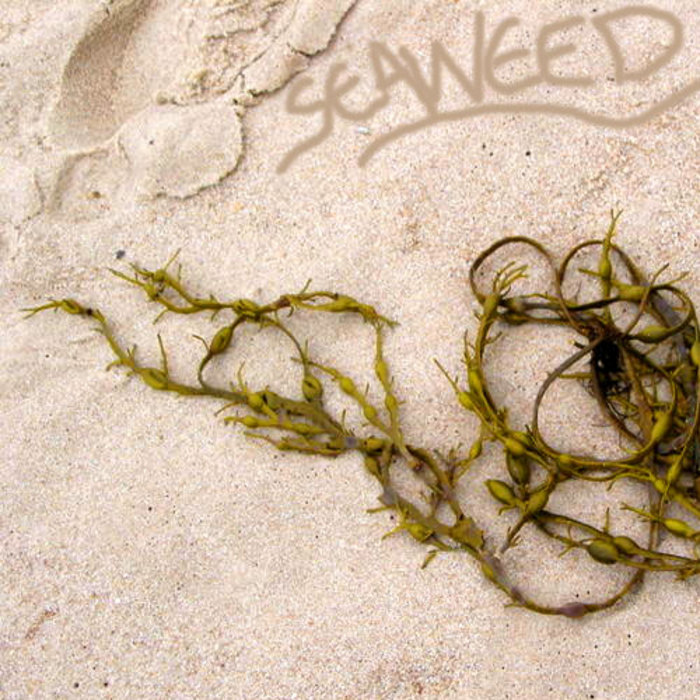 SEVILLE, Jacob - Seaweed EP