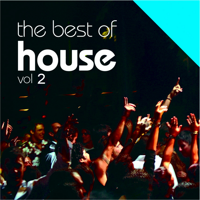 VARIOUS - The Best Of House Vol 2