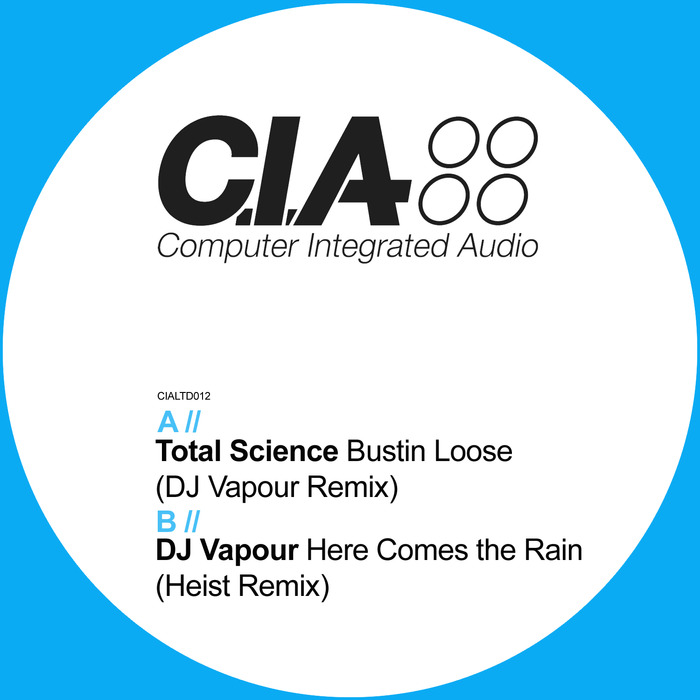 TOTAL SCIENCE/DJ VAPOUR - Bustin Loose/Here Comes The Rain