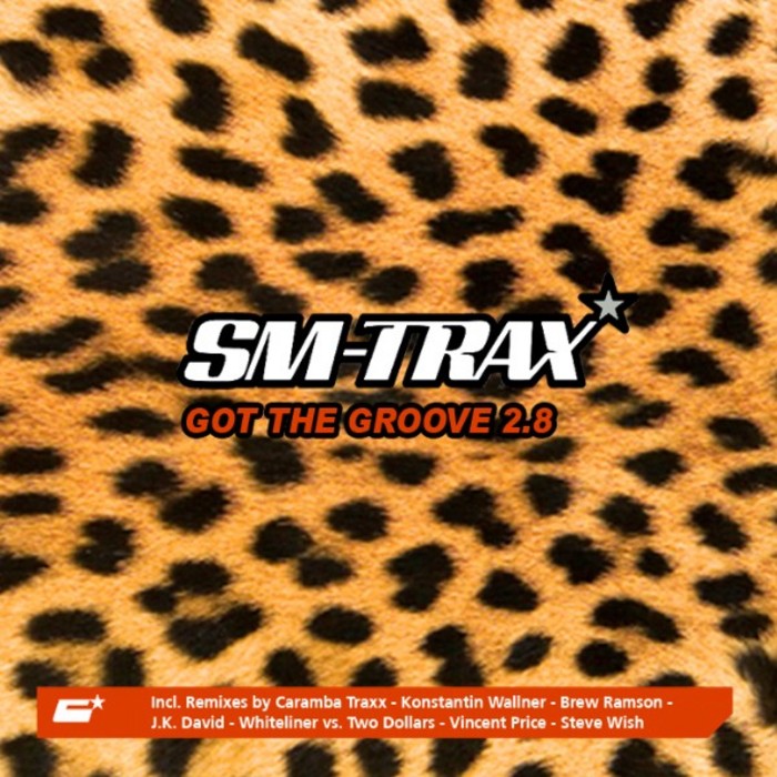 SM TRAX - Got The Groove 2.8