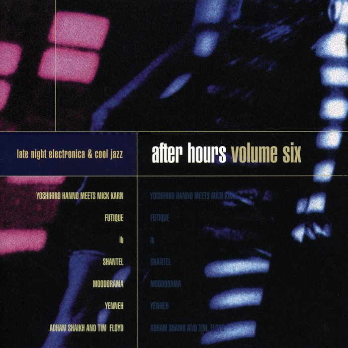 VARIOUS - After Hours Volume Six