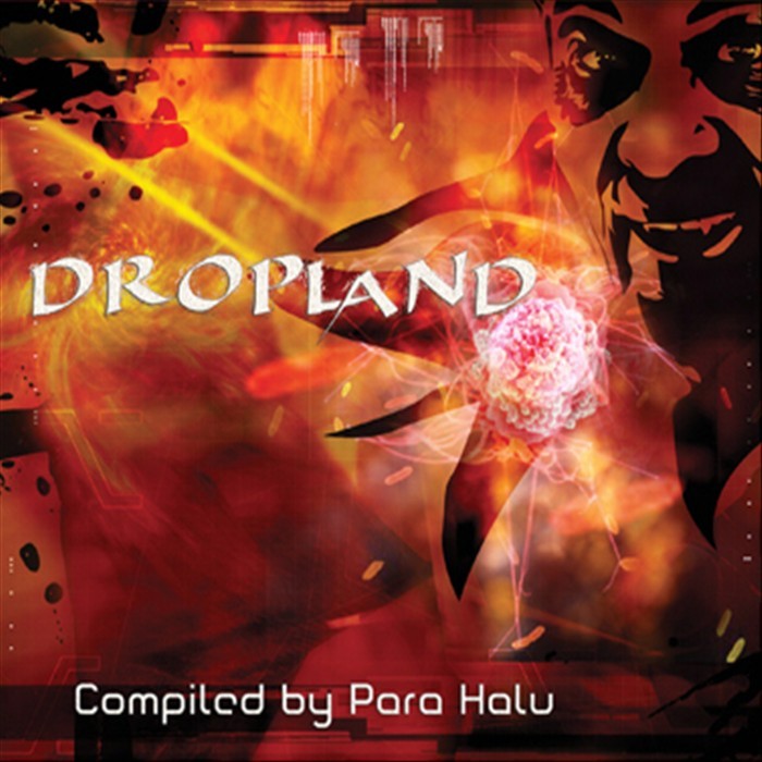 VARIOUS - Dropland (Compiled By Para Halu) (unmixed tracks)