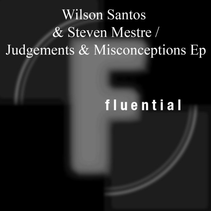 WILSON SANTOS/STEVEN MESTRE - Judgements & Misconceptions EP